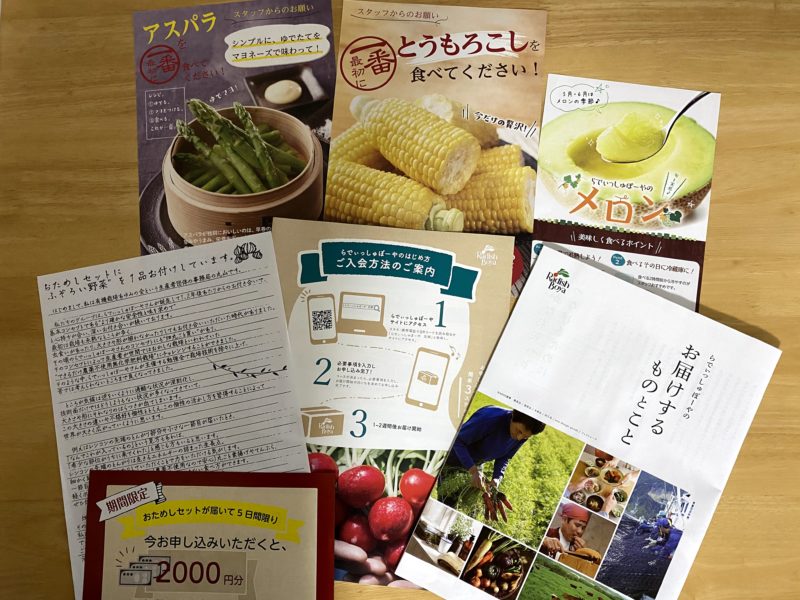 らでぃっしゅぼーやのおためしセットに入っていたパンフレット